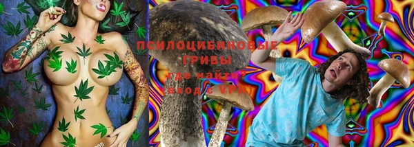 дмт Баксан