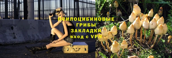 дмт Баксан