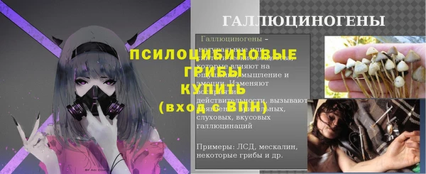 дмт Баксан
