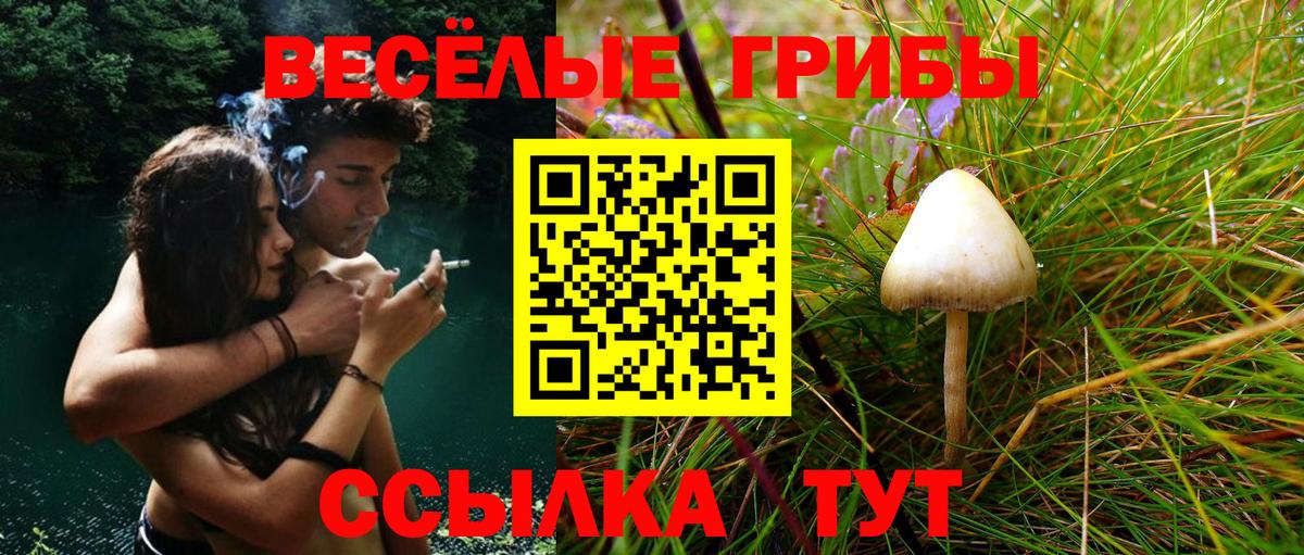 наркотики  Псилоцибиновые грибы ЛСД  Коммунар  Вход с VPN  Галлюциногенные грибы Psilocybine cubensis 