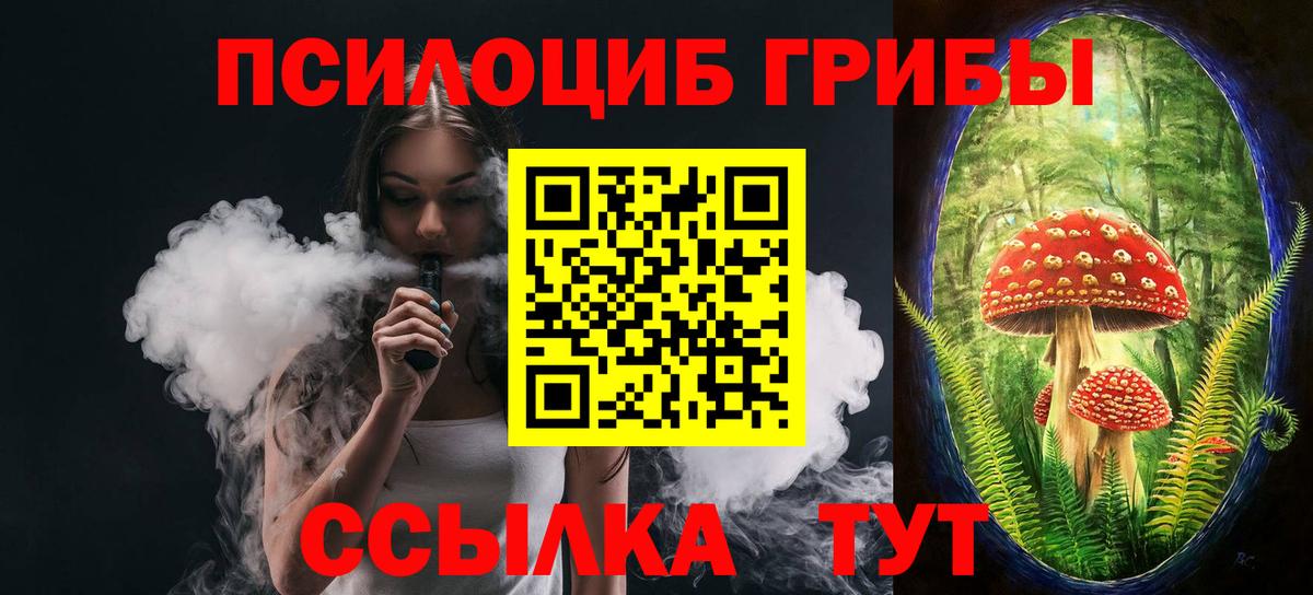 Галлюциногенные грибы Cubensis Коммунар